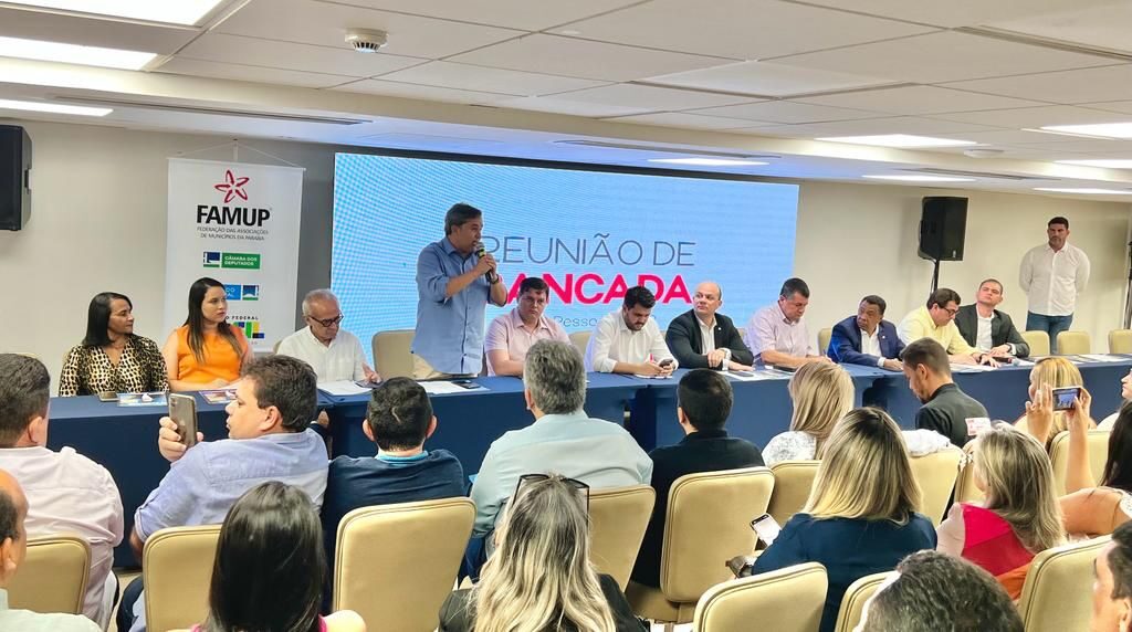 Queda em repasse aos municípios: Efraim e bancada federal paraibana se reúnem com prefeitos em busca de soluções