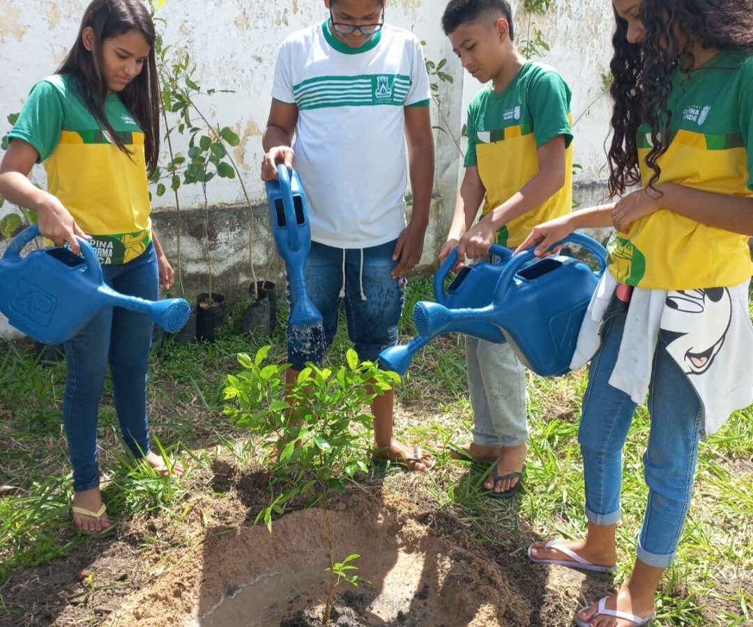 Eficácia das políticas públicas praticadas pela Prefeitura fortalece os agricultores familiares de Campina Grande