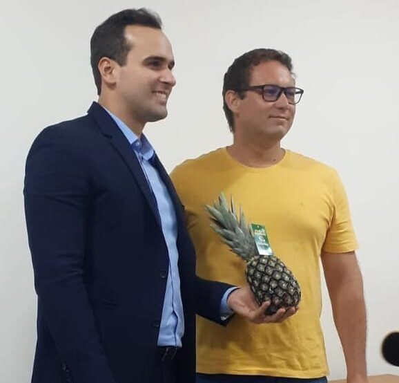 Numa articulação de produtores e Banco do Nordeste, abacaxi poderá ser incluído na merenda escolar na Paraíba