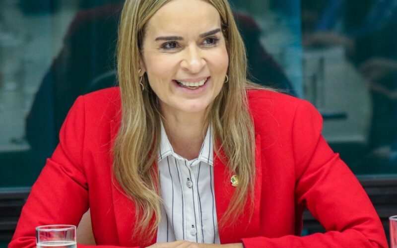 Indicada pelo Senado, paraibana Daniella Ribeiro é eleita vice-presidente do ParlAméricas