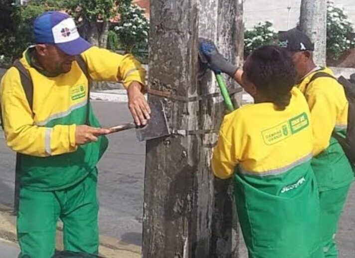 Campina Grande intensifica ações contra publicidade irregular e poluição visual