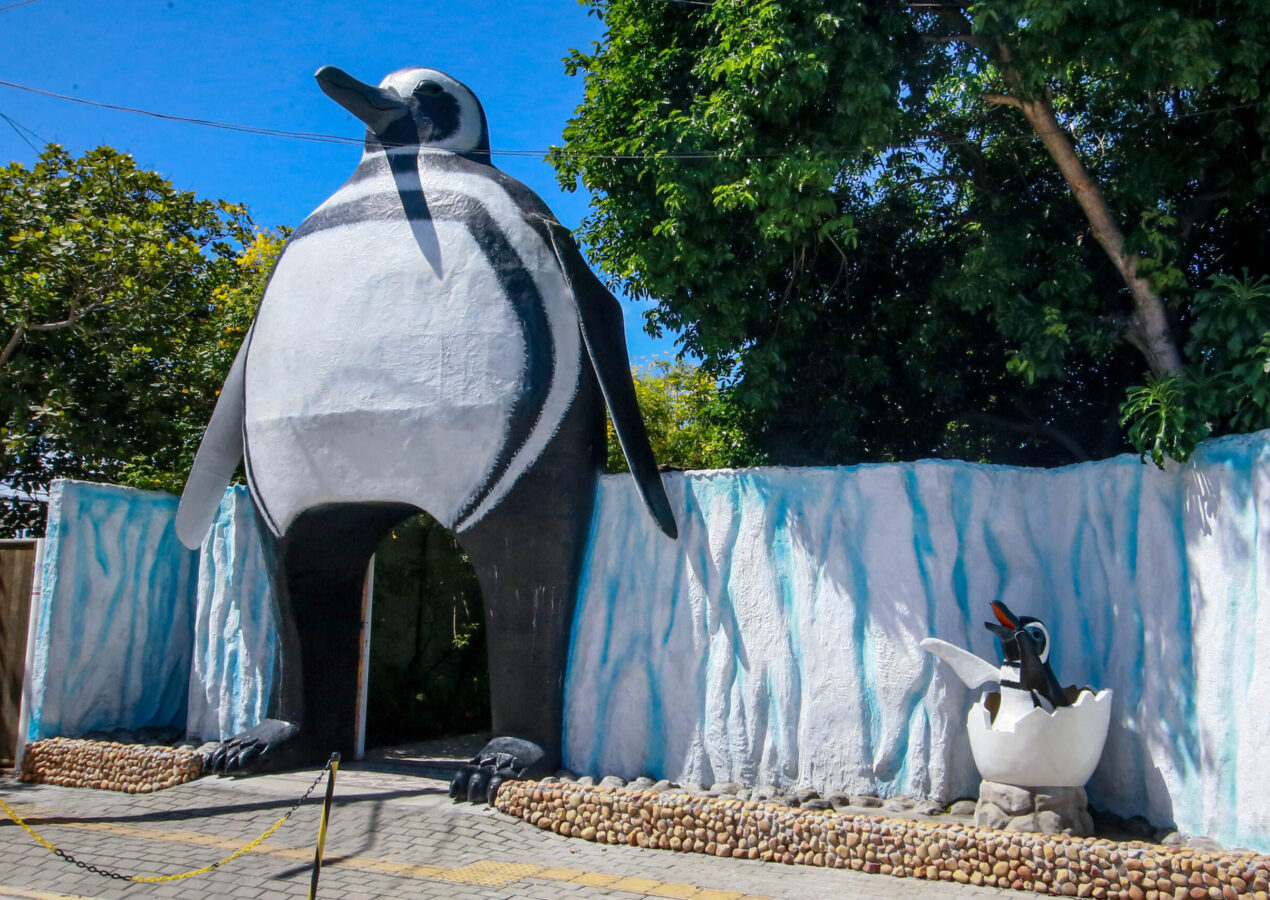 Aquário Paraíba: opção educativa e divertida para as férias em João Pessoa