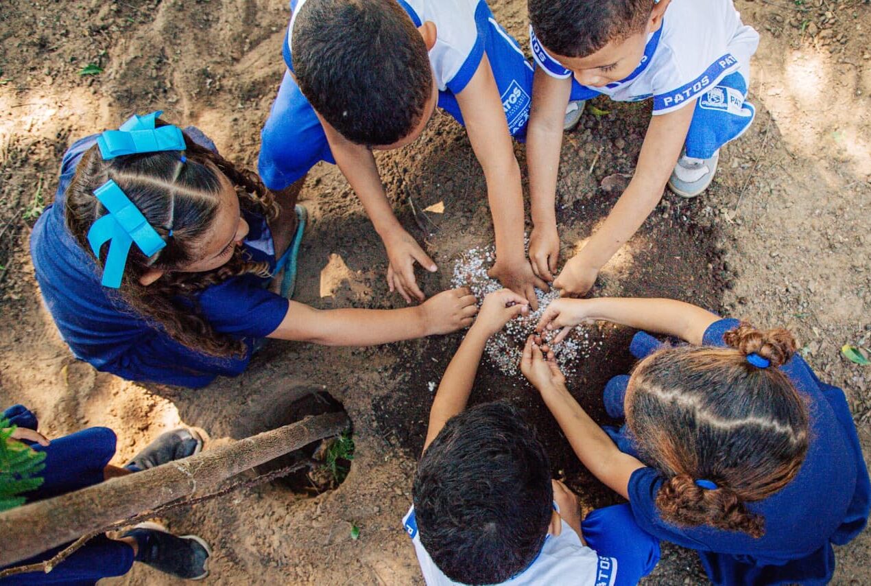 Natureza e infância: Patos apresenta projeto do Parque da Infância e realiza plantio de 50 mudas